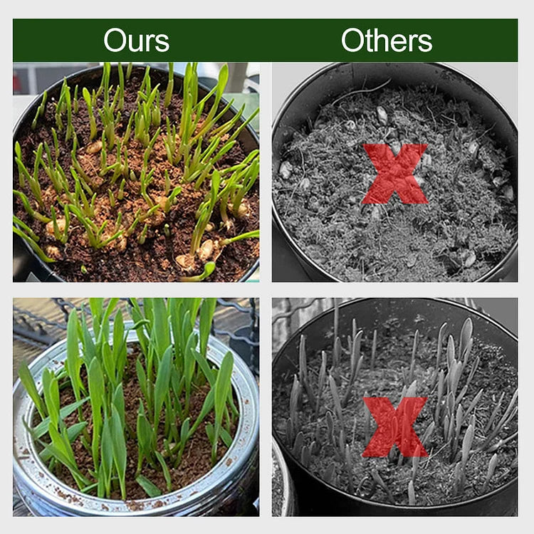 CocoBrick - Coconut Coir Growing Medium