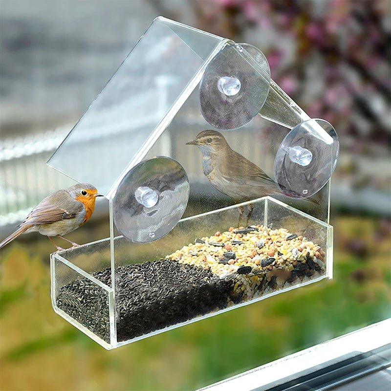 BirdView - Clear Window Bird Feeder