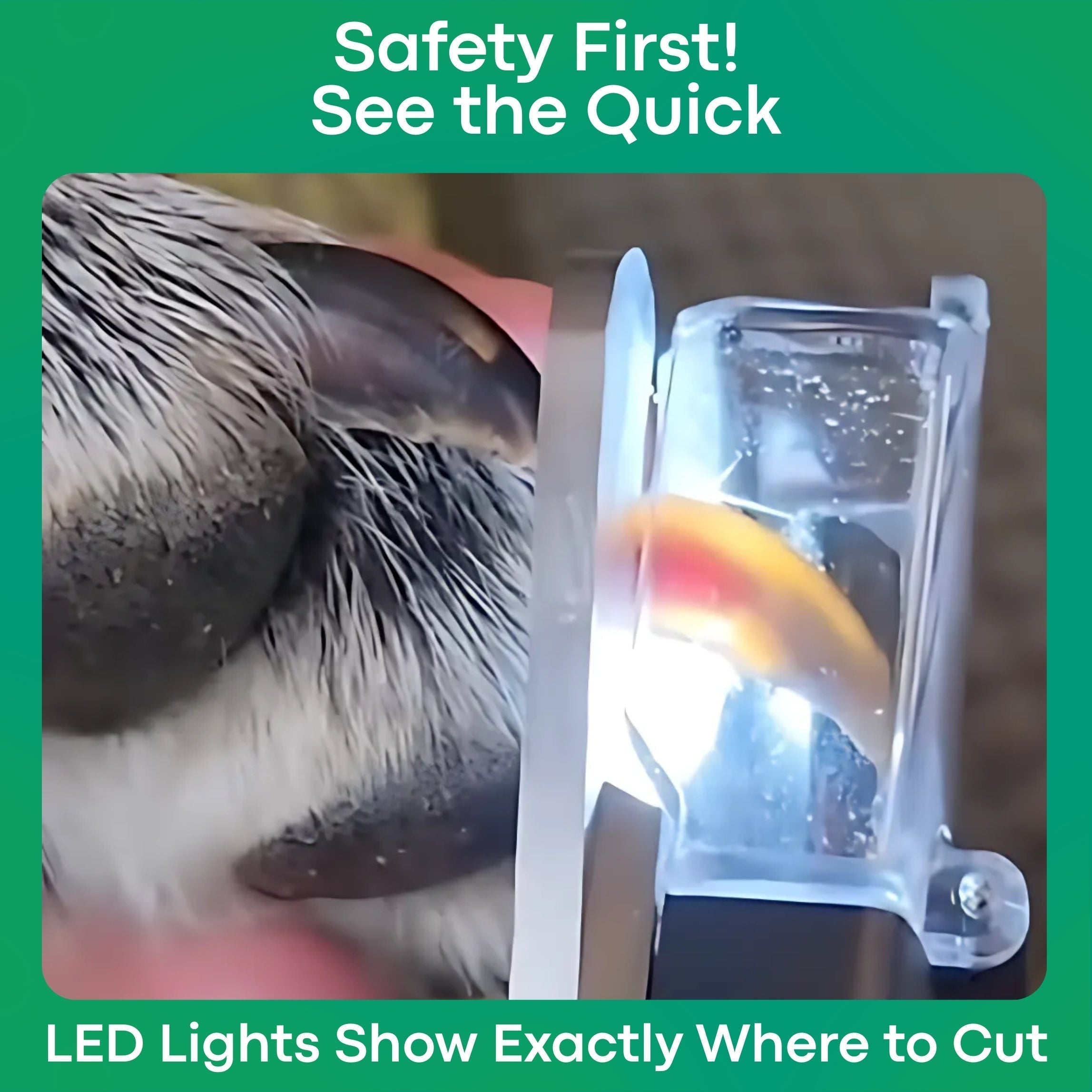 LumaClip - Pet Nail Clipper