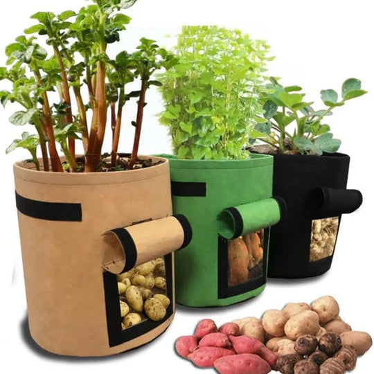 GrowForce — Fabric Grow Bags with Harvest Window