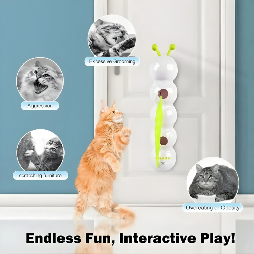 Interactive Rechargeable Cat Toy