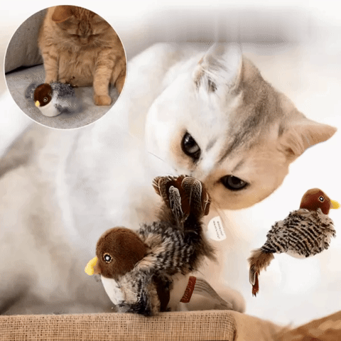 Feline Hunt – plyšová hračka, která probudí lovecké instinkty vaší kočky