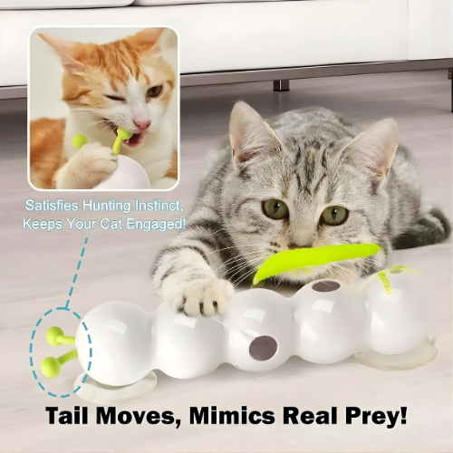 Interactive Rechargeable Cat Toy