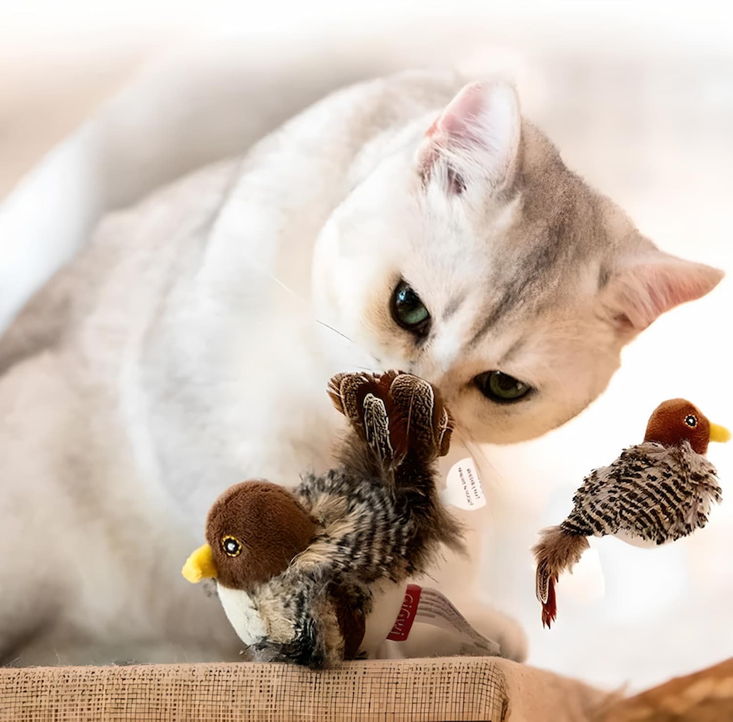 Feline Hunt – plyšová hračka, která probudí lovecké instinkty vaší kočky