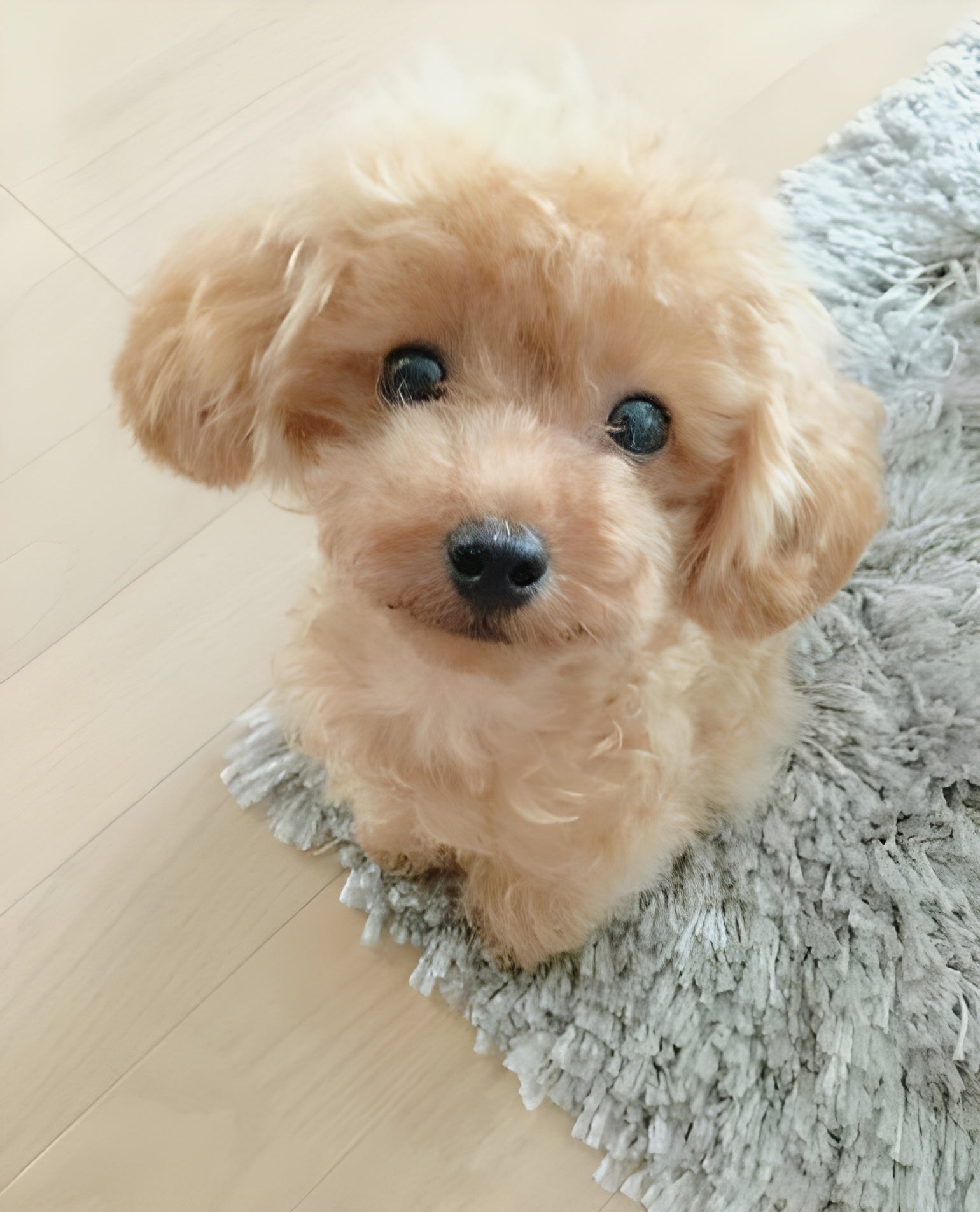 DearTeddy Cucciolo di Peluche – Gioco Morbido e Realistico da Compagnia