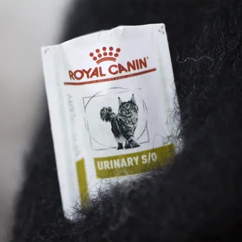 Wollfilz-Tierfreunde – handgefertigte, verspielte Filzfiguren