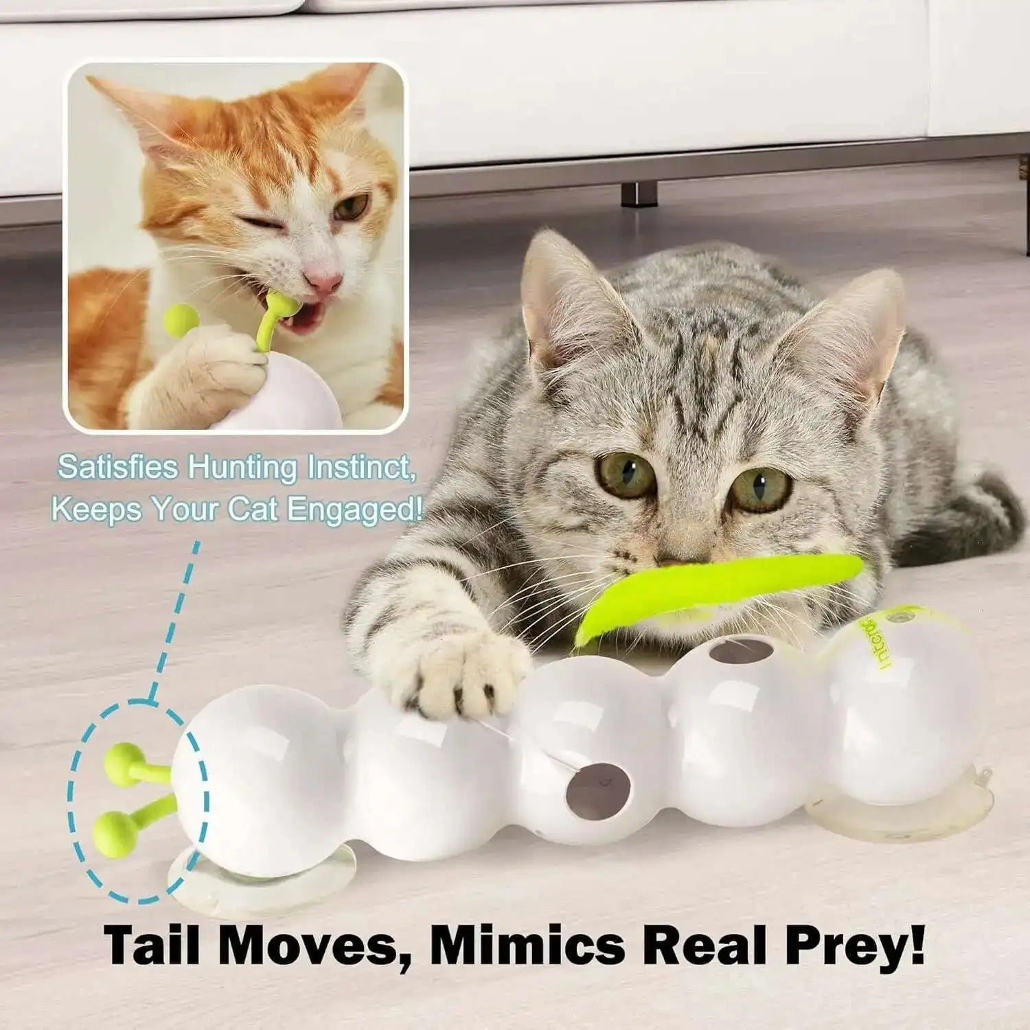 PurrWhirl – interaktivní přísavná hračka pro kočky