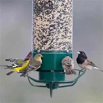 Hanging Bird Feeder with Protective Seed Access Design