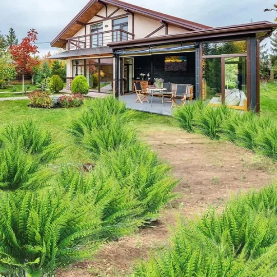 GreenGlow – Artificial Boston Fern