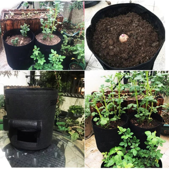 GrowForce — Fabric Grow Bags with Harvest Window