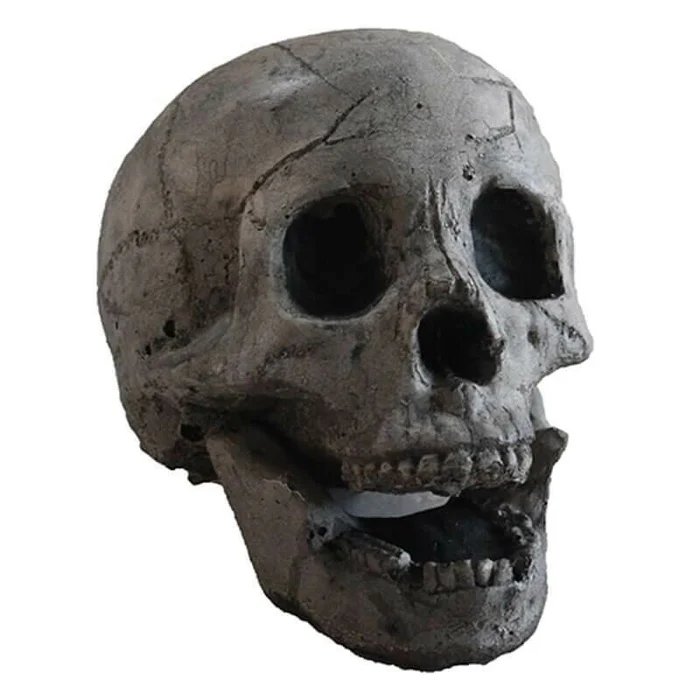 BoneChill — Dekorativní lebky do ohniště