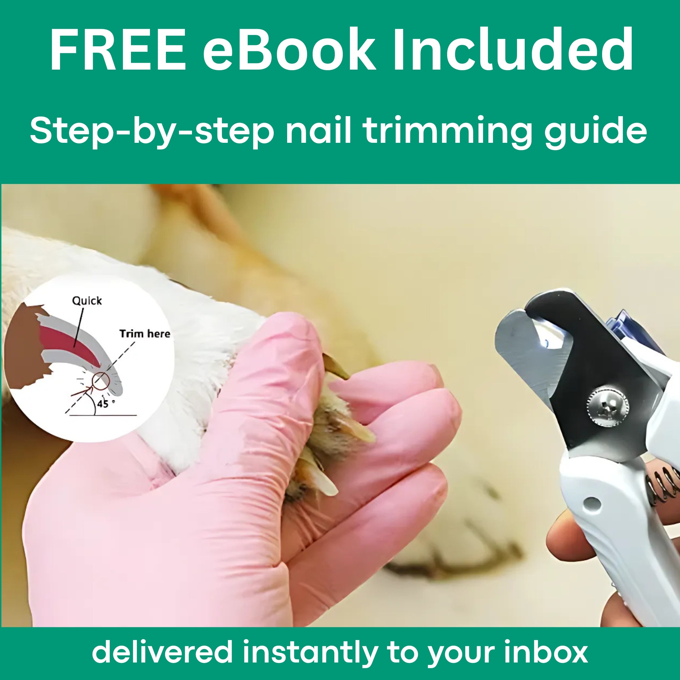 LumaClip - Pet Nail Clipper