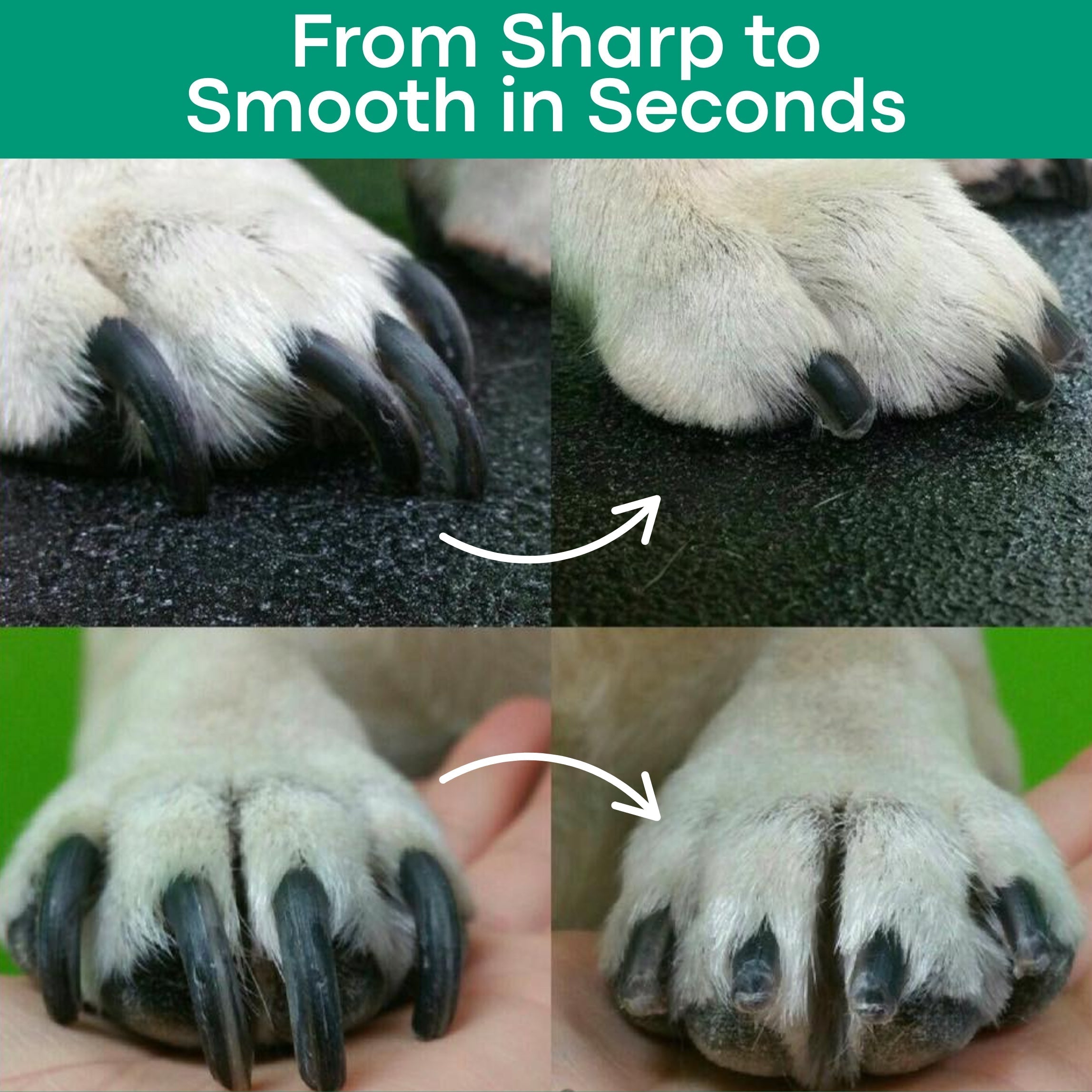 LumaClip - Pet Nail Clipper