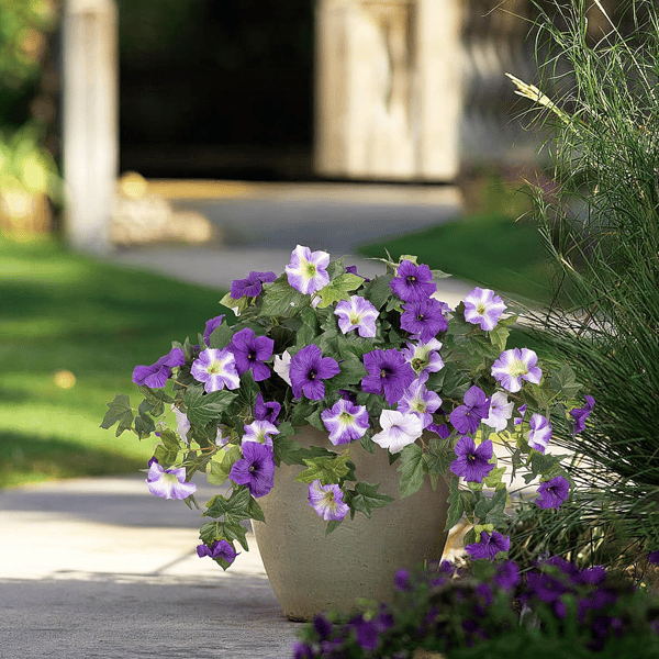 EverBloom Artificial Petunias – Lush Hanging Floral Décor