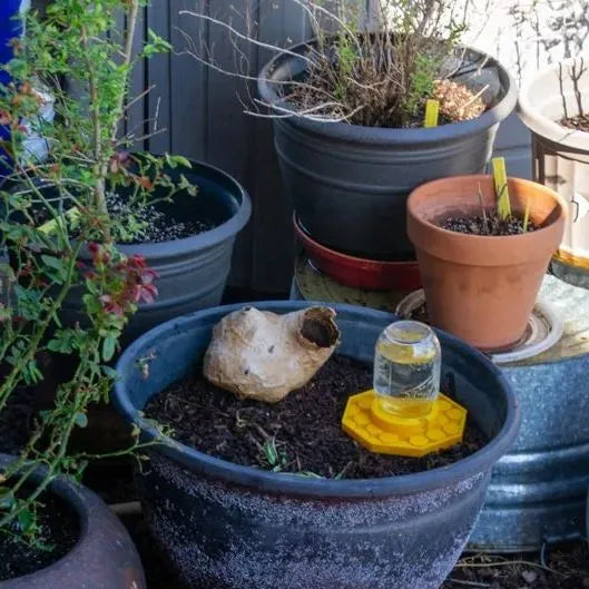 BeeBloom - Garden Pollinator Feeder