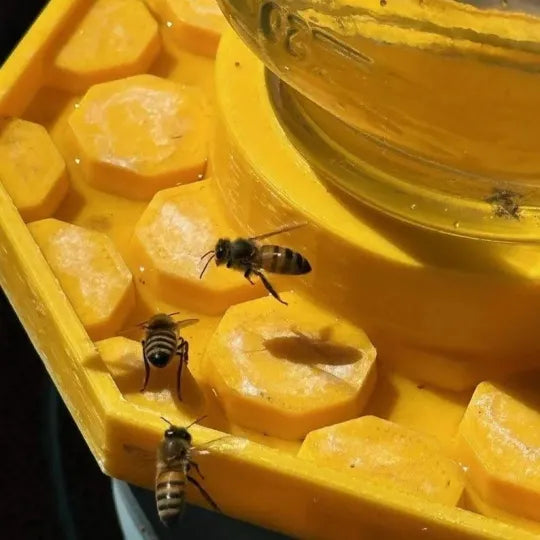BeeBloom - Garden Pollinator Feeder