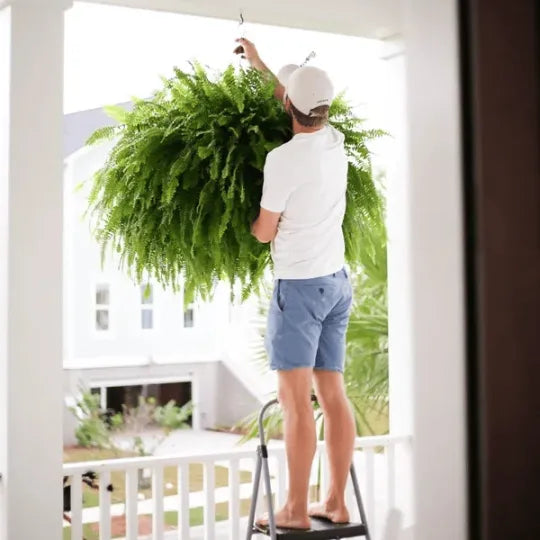 GreenGlow – Artificial Boston Fern