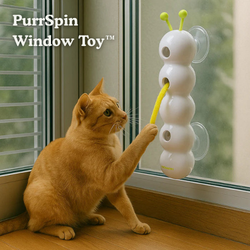 Interactive Rechargeable Cat Toy