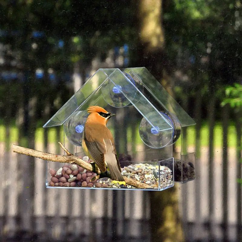 BirdView - Clear Window Bird Feeder