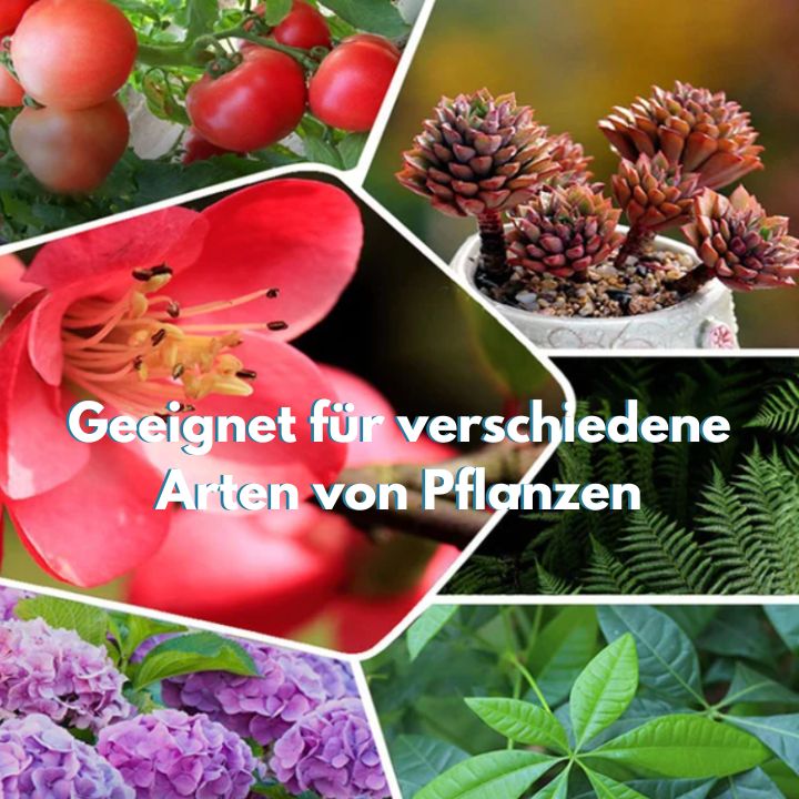 GrowBoost - Plant Nutrient Tablets