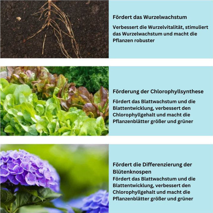 GrowBoost - Plant Nutrient Tablets