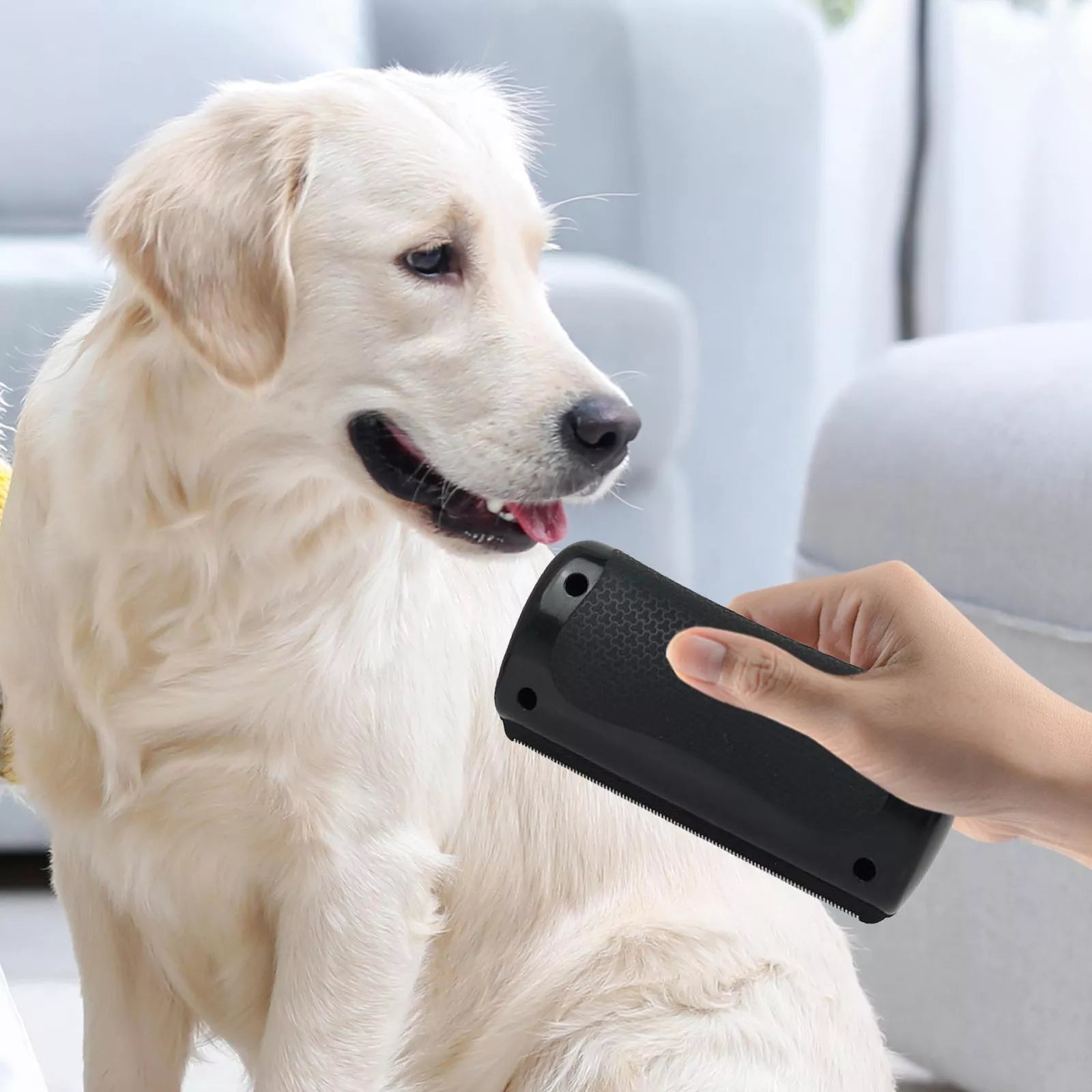 Pet Grooming Brush with Stainless Steel Shedding Blade