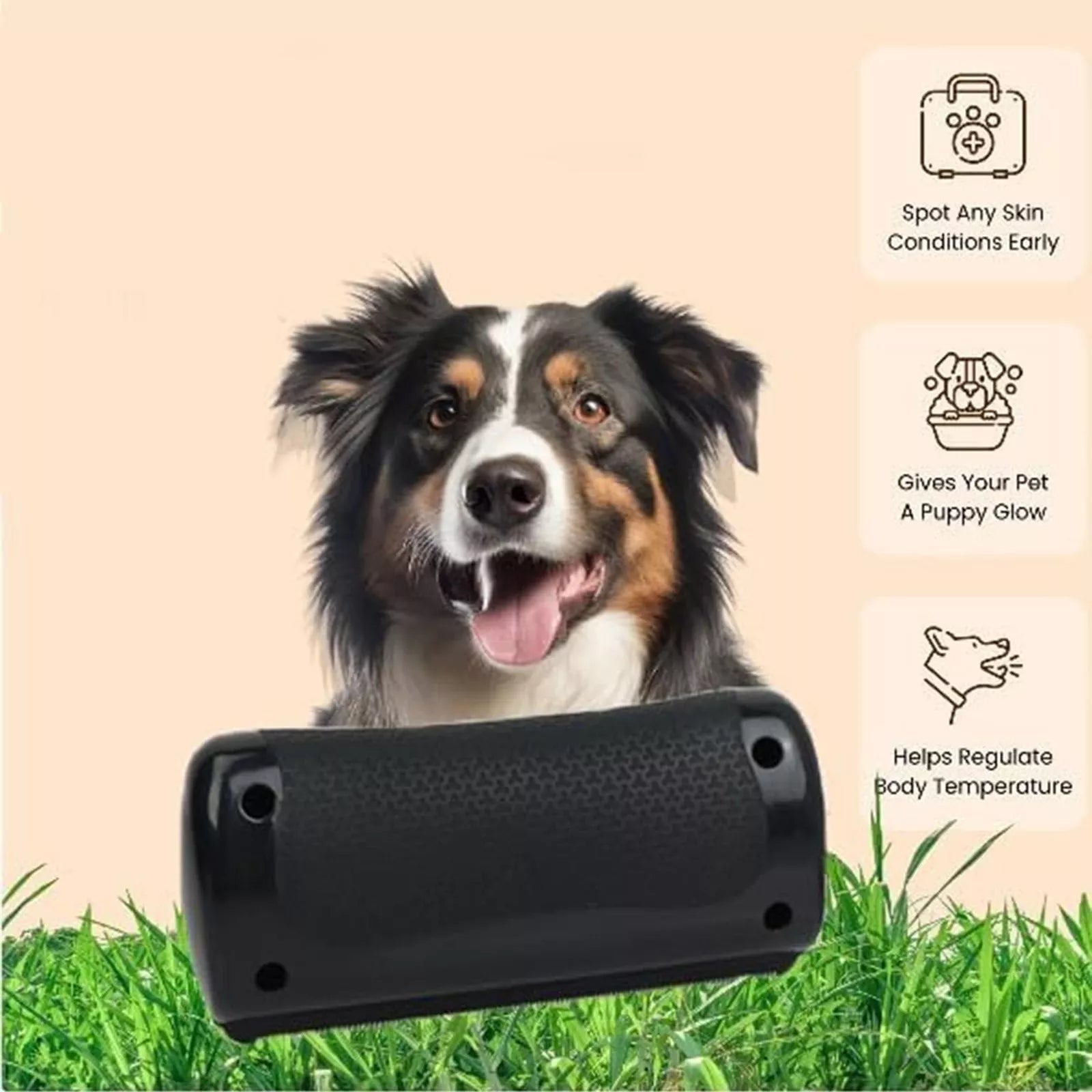 Pet Grooming Brush with Stainless Steel Shedding Blade