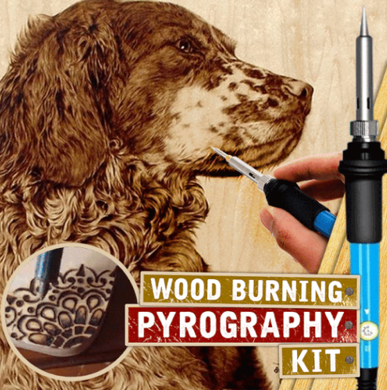 Wood Burning Pyrography Kit with Interchangeable Tips