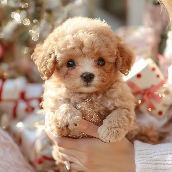 Pupfera — Interactive Puppy Companion Toy