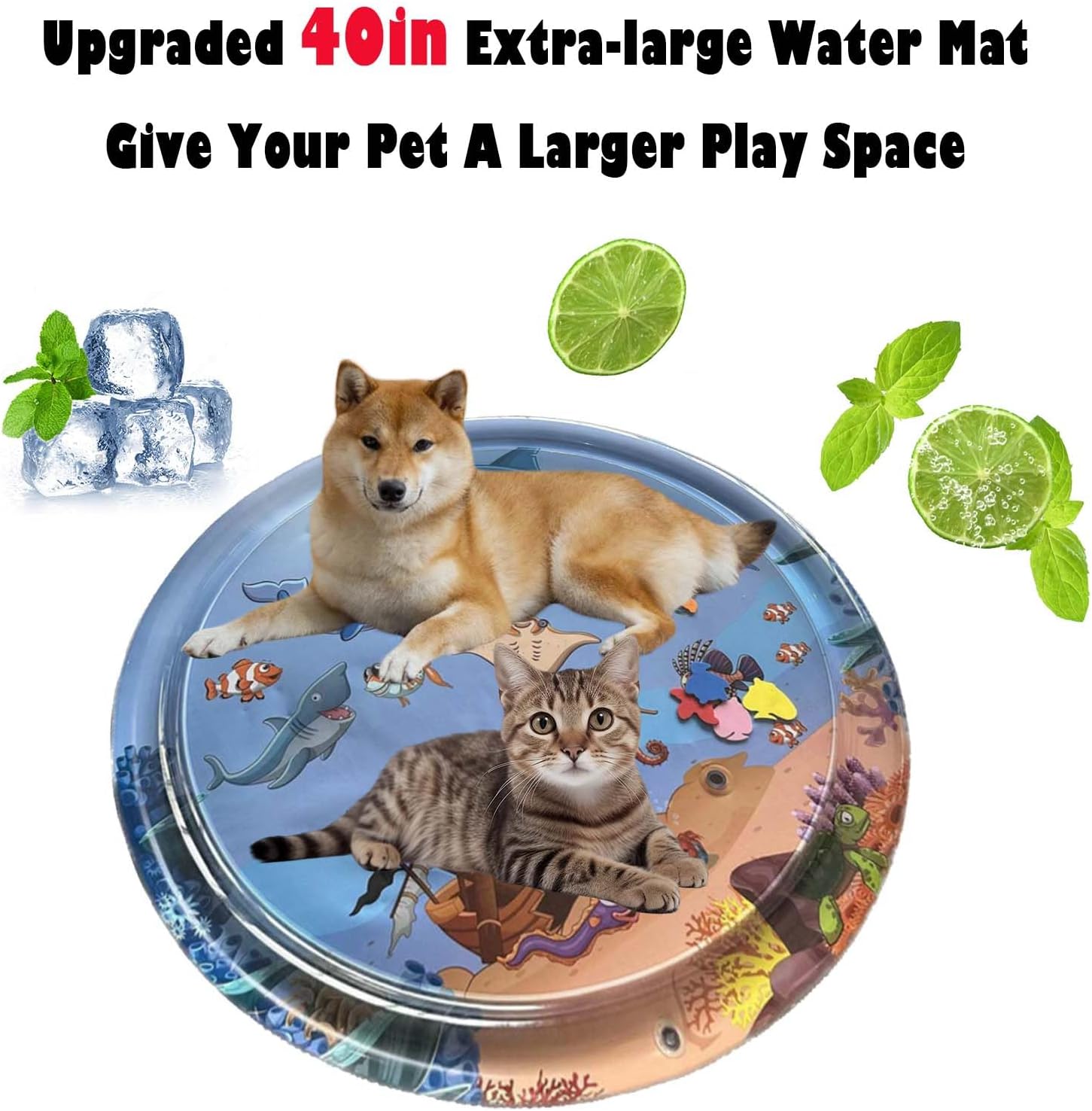AquaWhisk — Interactive Cat Water Play Mat