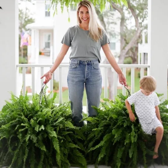 GreenGlow – Artificial Boston Fern