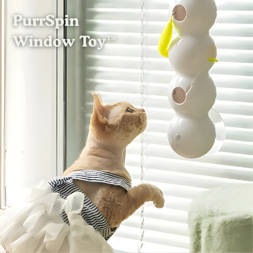 Interactive Rechargeable Cat Toy