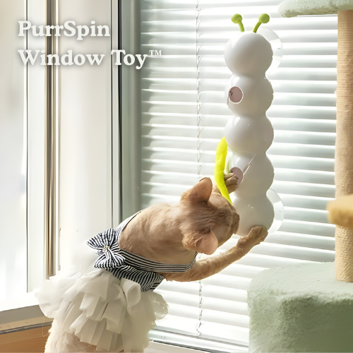 Interactive Rechargeable Cat Toy