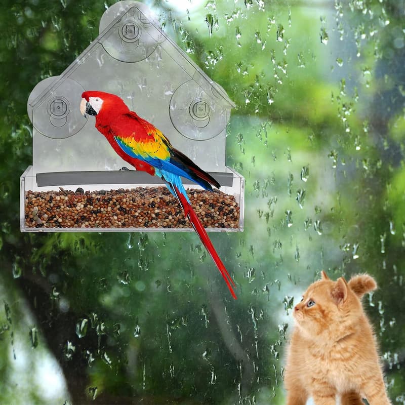 BirdView - Clear Window Bird Feeder