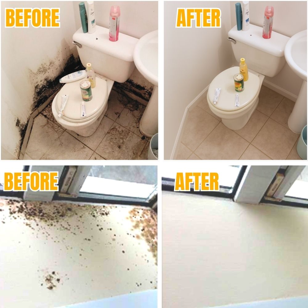 MoldDefy — Mold Remover Cleaning Spray