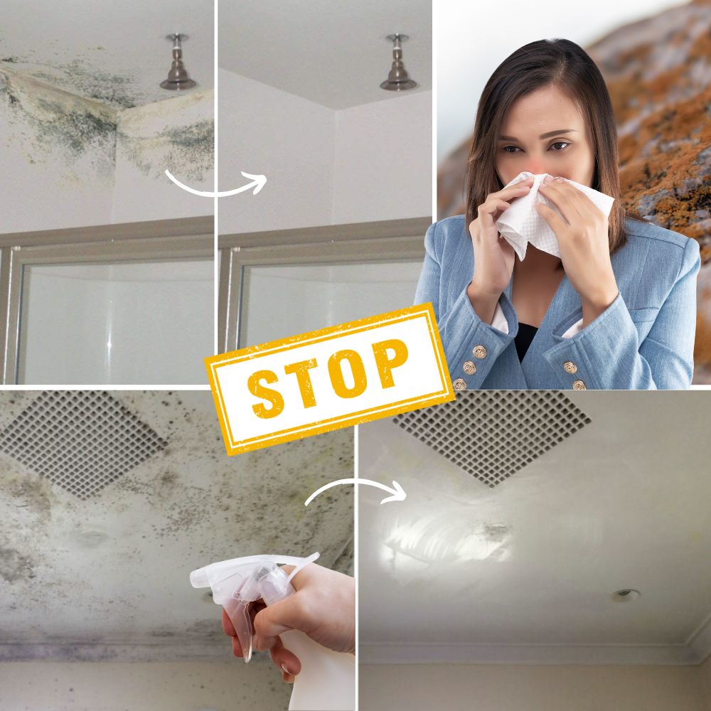 MoldDefy — Mold Remover Cleaning Spray